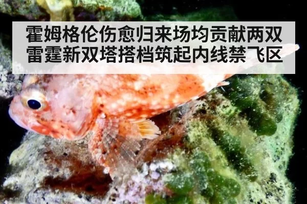 霍姆格伦伤愈归来场均贡献两双 雷霆新双塔搭档筑起内线禁飞区
